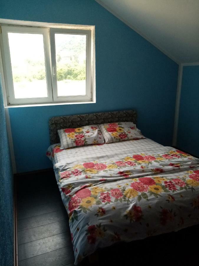 Apartman Pivsko Jezero Hotel Plužine Kültér fotó